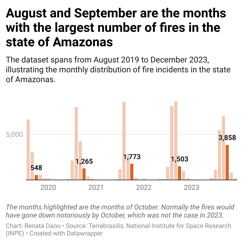 Forest Fires in Amazonas
